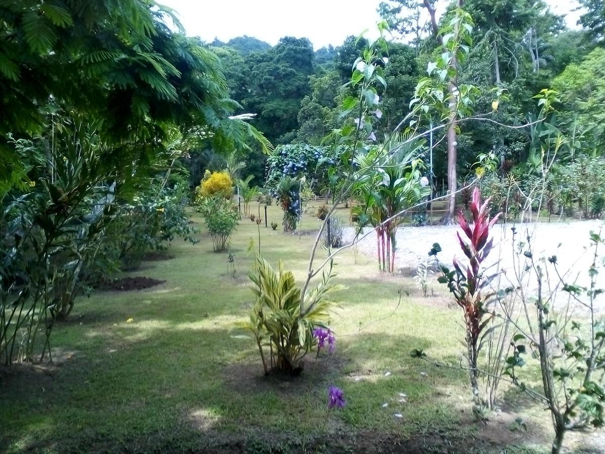 Puerto Vargas Lodge Cahuita Exterior photo